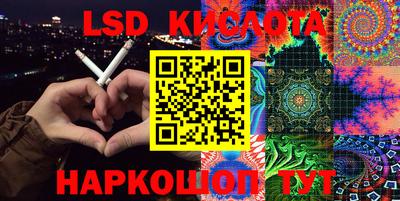 прущие грибы Ирбит