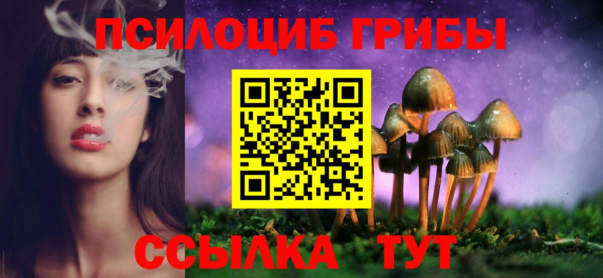 Псилоцибиновые грибы Psilocybe  Вход с VPN  Октябрьский 