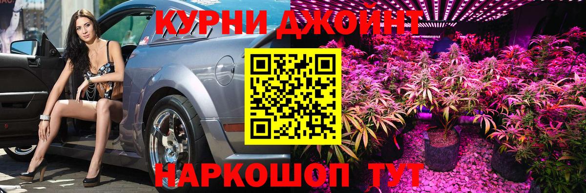 Каннабис индика Октябрьский